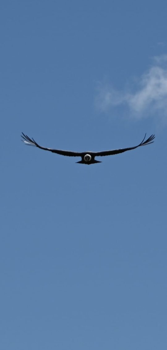 naturaleza remota Argentina