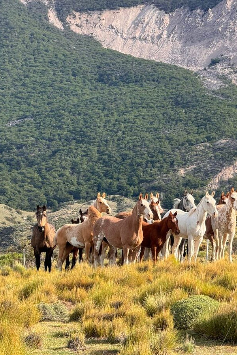 travesías a caballo Patagonia